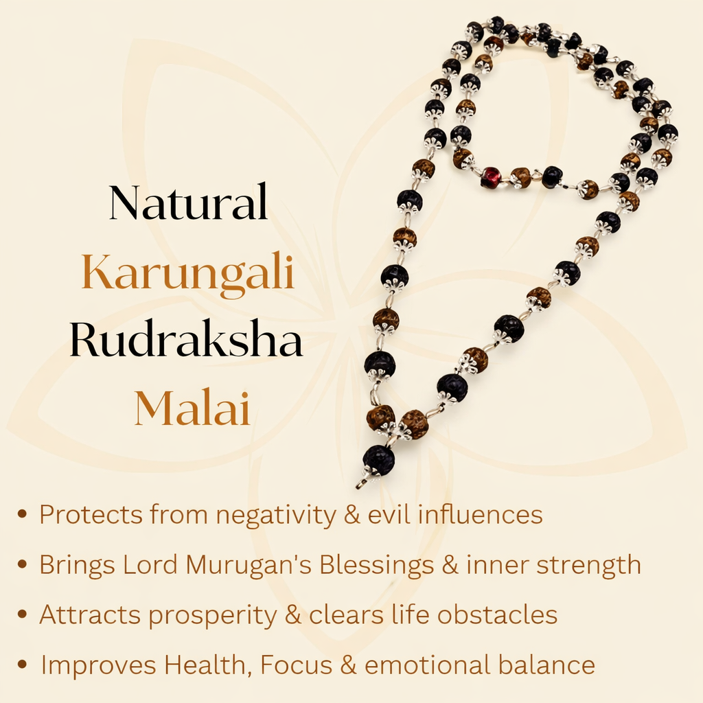 The Ultimate Aura Shield: Divya Rudraksha & Karungali Mala