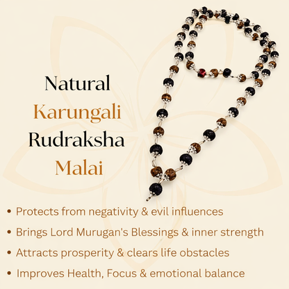 The Ultimate Aura Shield: Divya Rudraksha & Karungali Mala