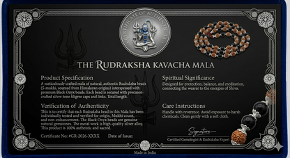 The Ultimate Aura Shield: Divya Rudraksha & Karungali Mala